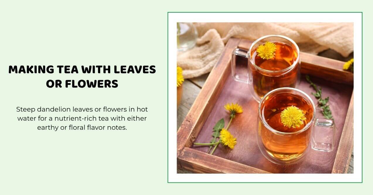 Two clear mugs of dandelion tea with flowers floating on top