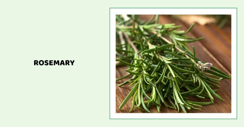 Fresh rosemary sprigs on a wooden surface.