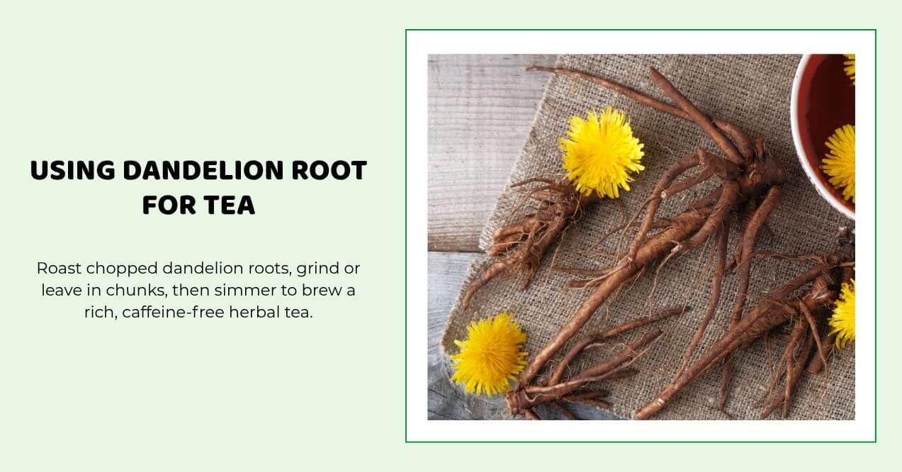 Dandelion roots with flowers and a cup of tea on a rustic cloth background