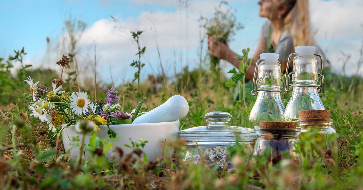 Herbs that help with memory and mortar with pestle in a sunny meadow.