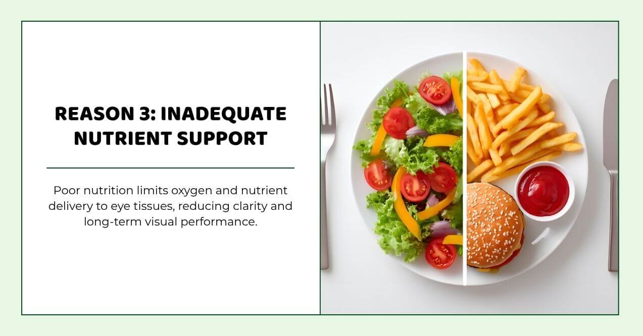 Half plate of salad and half plate of burger showing impact of poor nutrition on eyes